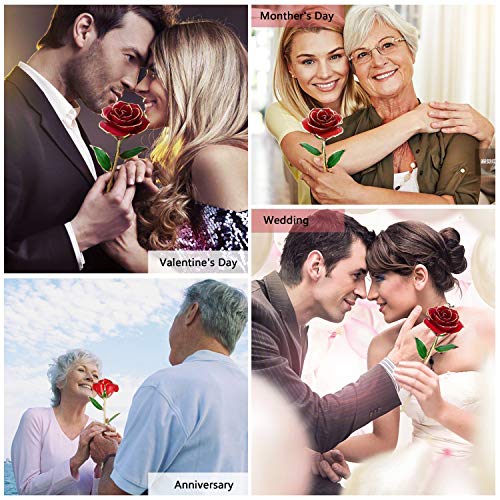 Cozime Rosa de Oro 24K con Base Soporte, Fresco Rosas Vivas con Caja de Regalo para Madre, Novia, Esposa, el Día de San Valentín, Navidad, Fiestas Doradas - Rojo (Rojo) (Rojo)