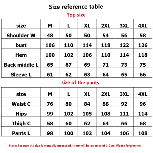 CYzpf Chaqueta de Moto Reflexivo 4 Estaciones Ropa Ligera y Transpirable Equipo Protección Abrigo Informal Motorcycle Jackets Exteriores Accesorios para Hombres Mujeres,2XL