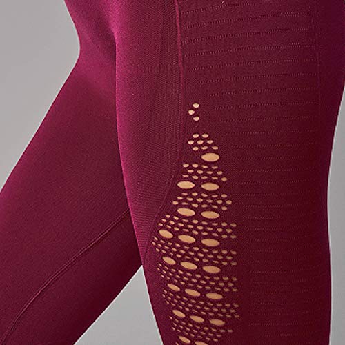 FITTOO Leggings Sin Costuras Corte de Malla Mujer Pantalon Deportivo Alta Cintura Yoga Elásticos Fitness Seamless #1 Rojo Large