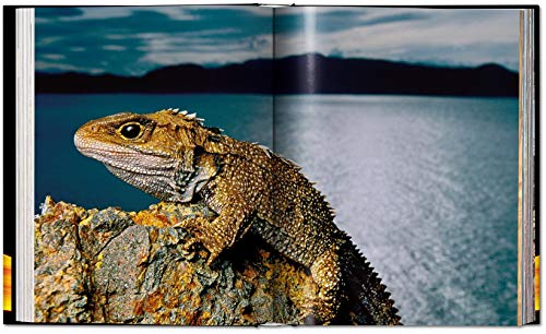 Frans Lanting. LIFE: A journey through time