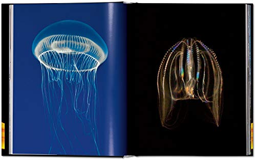 Frans Lanting. LIFE: A journey through time