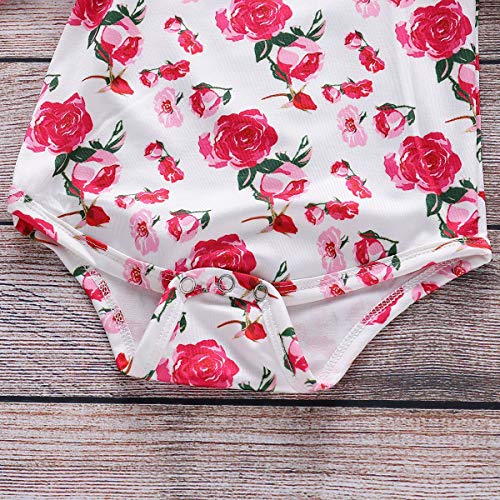 HaiQianXin 2 unids/Set Niño recién Nacido Moda para niños Chica Flor Rosa Mameluco de Manga Larga + Tutu Falda de Malla (Color : 18M-24M)