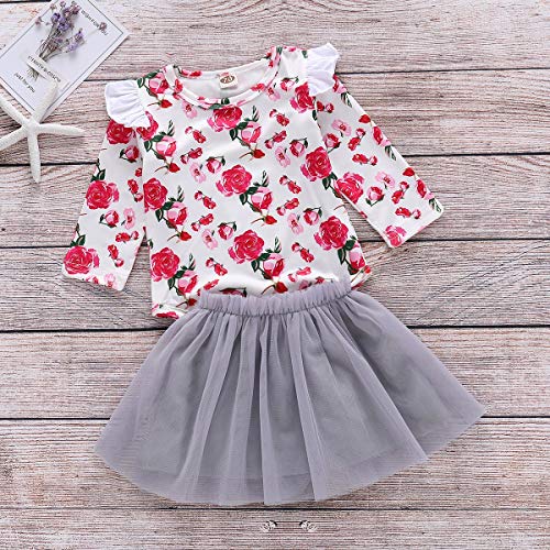 HaiQianXin 2 unids/Set Niño recién Nacido Moda para niños Chica Flor Rosa Mameluco de Manga Larga + Tutu Falda de Malla (Color : 18M-24M)