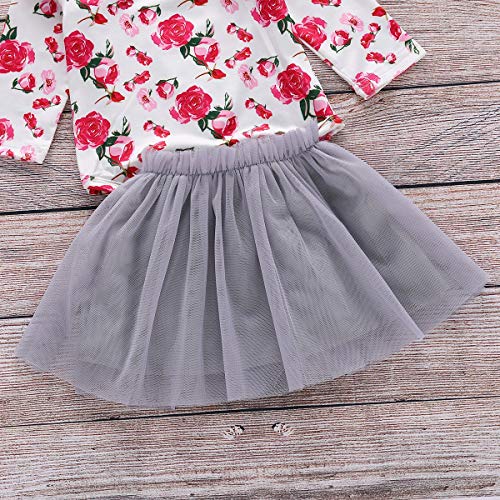 HaiQianXin 2 unids/Set Niño recién Nacido Moda para niños Chica Flor Rosa Mameluco de Manga Larga + Tutu Falda de Malla (Color : 18M-24M)