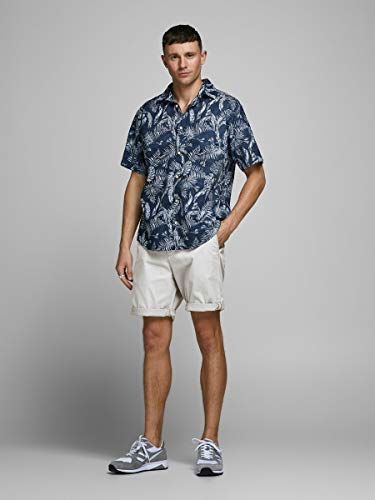 Jack & Jones JJIBOWIE JJSHORTS Solid SA STS Pantalones Cortos, Drizzle, L para Hombre