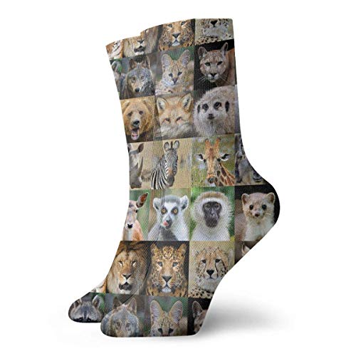 Kevin-Shop Calcetines de compresión African Wildlife Animal Calcetines Altos de algodón de Tobillo Mujeres Hombres Lightweight