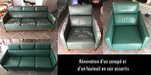 Kit de renovación de piel 21 colores disponibles: reparación + pintura de piel + barniz para volante o retoque de asiento de coche, silla, chaqueta, zapatos (GRAFITO NEGRO - RAL 9011)