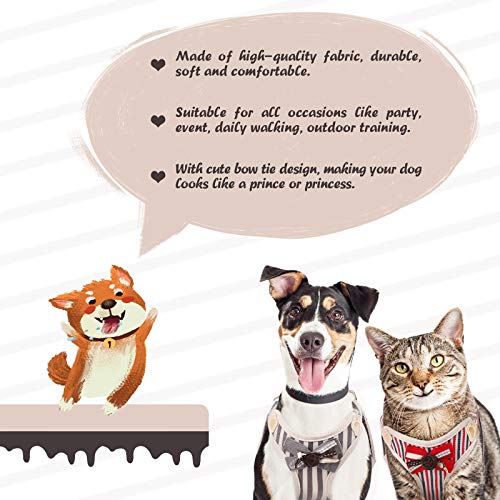 Kuoser Juego de Arnés y Correa para Perro, Transpirable y Suave, Arnés de Pecho Acolchado de Malla con Bonito Lazo para Cachorros Pequeños y Medianos para Entrenamiento de Caminar Al Aire Libre