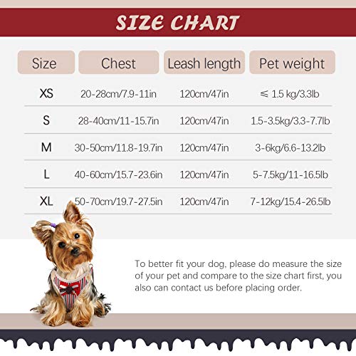 Kuoser Juego de Arnés y Correa para Perro, Transpirable y Suave, Arnés de Pecho Acolchado de Malla con Bonito Lazo para Cachorros Pequeños y Medianos para Entrenamiento de Caminar Al Aire Libre