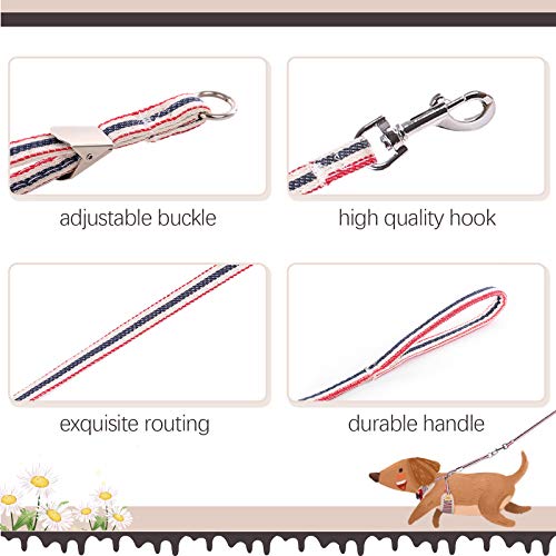 Kuoser Juego de Arnés y Correa para Perro, Transpirable y Suave, Arnés de Pecho Acolchado de Malla con Bonito Lazo para Cachorros Pequeños y Medianos para Entrenamiento de Caminar Al Aire Libre