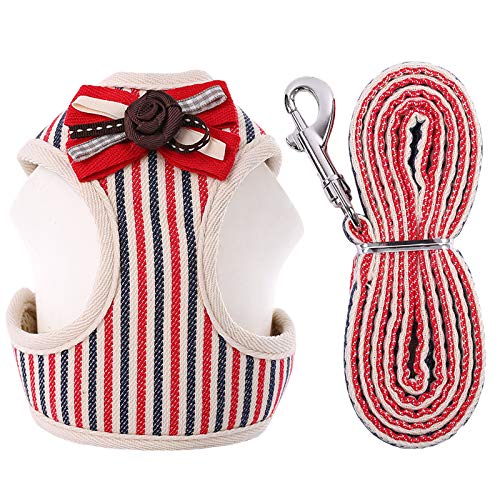 Kuoser Juego de Arnés y Correa para Perro, Transpirable y Suave, Arnés de Pecho Acolchado de Malla con Bonito Lazo para Cachorros Pequeños y Medianos para Entrenamiento de Caminar Al Aire Libre