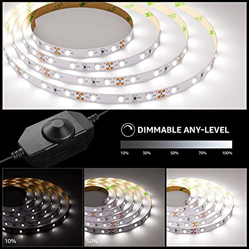 LE LED Luces de Tiras Regulables, 5M 1200lm, Blanco Frío 6000K, 300 LEDs, Enchufe en la tira de luz para gabinete, armario y más, Incluido Fuente de alimentación de 12V y regulador de intensidad