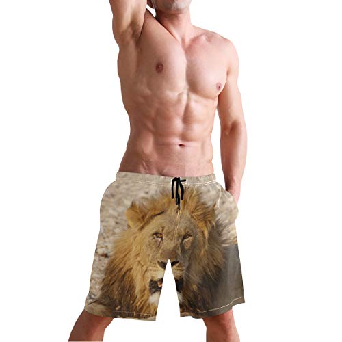 Lion Africa - Bañador para hombre, diseño de animales Multicolor multicolor S