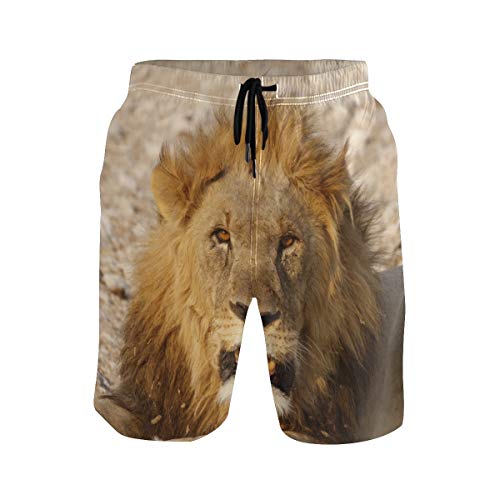 Lion Africa - Bañador para hombre, diseño de animales Multicolor multicolor S
