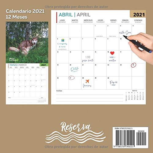 Perros Cagando Calendario 2021: Regalos Divertidos Para Amante De Los Perros, Mujer, Padre, Madre, Novio, Novia, Trabajo, Mujer, Hombre, Adolescentes, ... Niños, Niñas, Cumpleaños, Navidad y Amigos