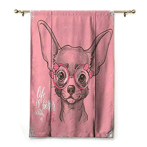 Perros romanas para ventana, diseño de chihuahua con cita de moda, cintas para gafas, cenefa para ventana de cachorro, color rosa pálido, verde militar, 106,7 x 182,8 cm