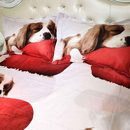 QBCNM Patrón 3D del Lecho del Edredón De La Caja, Estampado De Animales Juegos De Cama con Edredón Fundas, Sábanas Funda De Almohada 4Pcs / Set