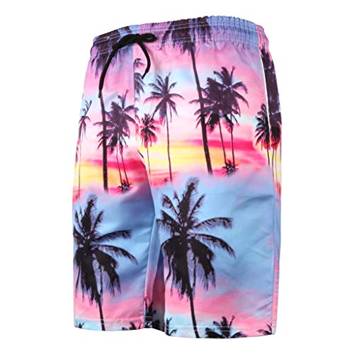 Reooly3D Pantalones de Playa con Estampado de Verano para Hombres nuevos Pantalones Cortos Deportivos Ocasionales con Estampado(B-Multicolor,Small)