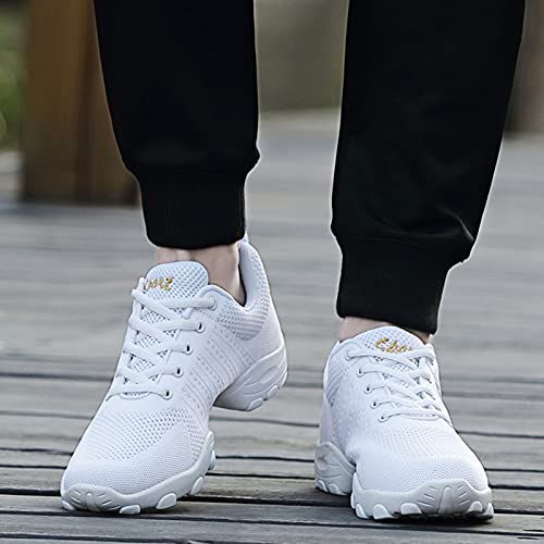 RHSMQ Zapatos De Baile para Hombres, Zapatos De Baile De Deportes Casuales, Adulto De Los Hombres Volando Tejido De Malla Suave Aptitud Suave Fitness Four Seasons Dance Shoes(43, White)