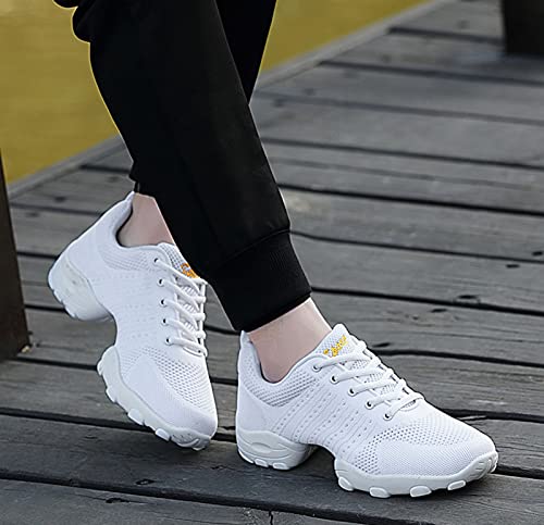 RHSMQ Zapatos De Baile para Hombres, Zapatos De Baile De Deportes Casuales, Adulto De Los Hombres Volando Tejido De Malla Suave Aptitud Suave Fitness Four Seasons Dance Shoes(43, White)