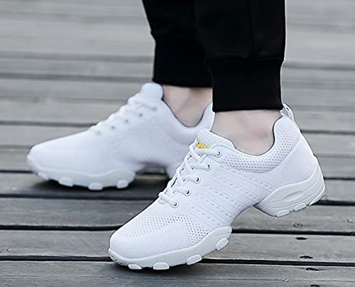 RHSMQ Zapatos De Baile para Hombres, Zapatos De Baile De Deportes Casuales, Adulto De Los Hombres Volando Tejido De Malla Suave Aptitud Suave Fitness Four Seasons Dance Shoes(43, White)