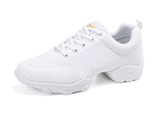 RHSMQ Zapatos De Baile para Hombres, Zapatos De Baile De Deportes Casuales, Adulto De Los Hombres Volando Tejido De Malla Suave Aptitud Suave Fitness Four Seasons Dance Shoes(43, White)