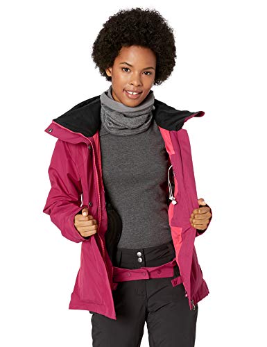 Roxy Women's Wilder 2l Gore-tex Snow Jacket
