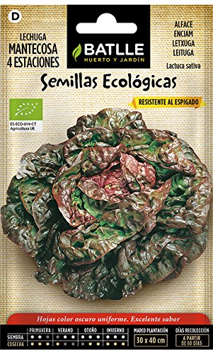 Semillas Ecológicas Hortícolas - Lechuga Mantecosa 4 Estaciones - ECO - Batlle