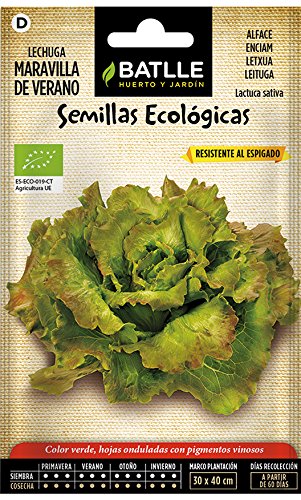 Semillas Ecológicas Hortícolas - Lechuga Maravilla de Verano - ECO - Batlle