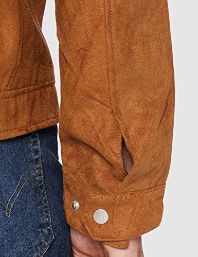 Springfield 3IP-Antelina Biker-c/35 Chaqueta Deportiva, Marfil (Tan 48711235), XXL (Tamaño del Fabricante: XXL) para Hombre