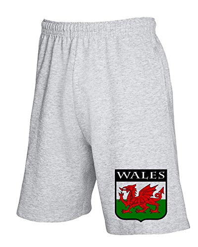 T-Shirtshock Pantalones Deportivos Cortos Gris TSTEM0099 Wales Coat of Arms