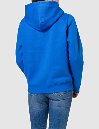 Tommy Jeans TJW Regular Fleece Hoodie Suéter, Costa del Golfo Azul, XS para Mujer