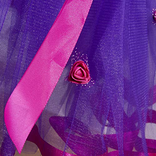 Wapakids Falda, tutus, Tull de ballet para niñas color purpura con fucsia