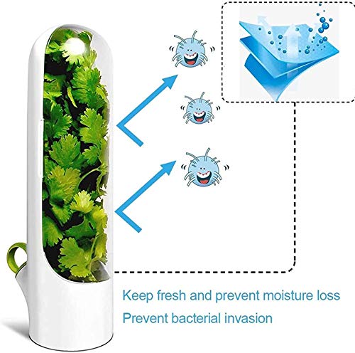 wgkgh （2 Piezas） Taza de Vainilla de Primera Calidad para Guardar Frescas, Almacenamiento de Hierbas, Recipiente, Caja de conservación de Botellas de conservación de Verduras Herramientas de Cocina