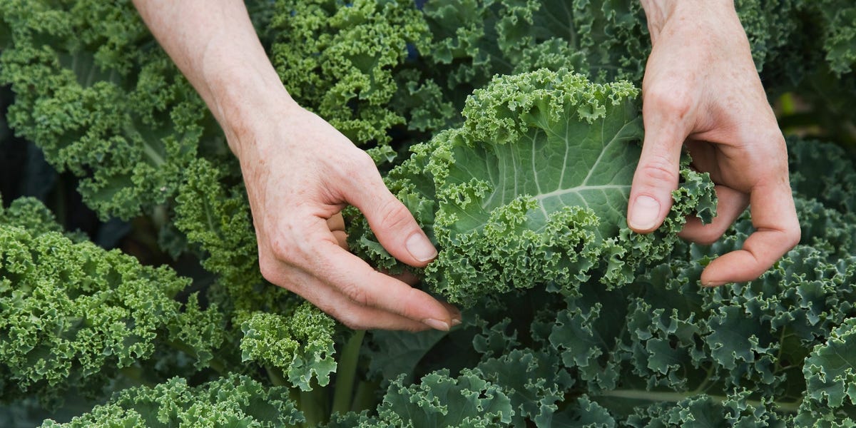 3 beneficios de la vitamina K para la salud, respaldados por la ciencia, y las mejores fuentes alimentarias de este nutriente esencial