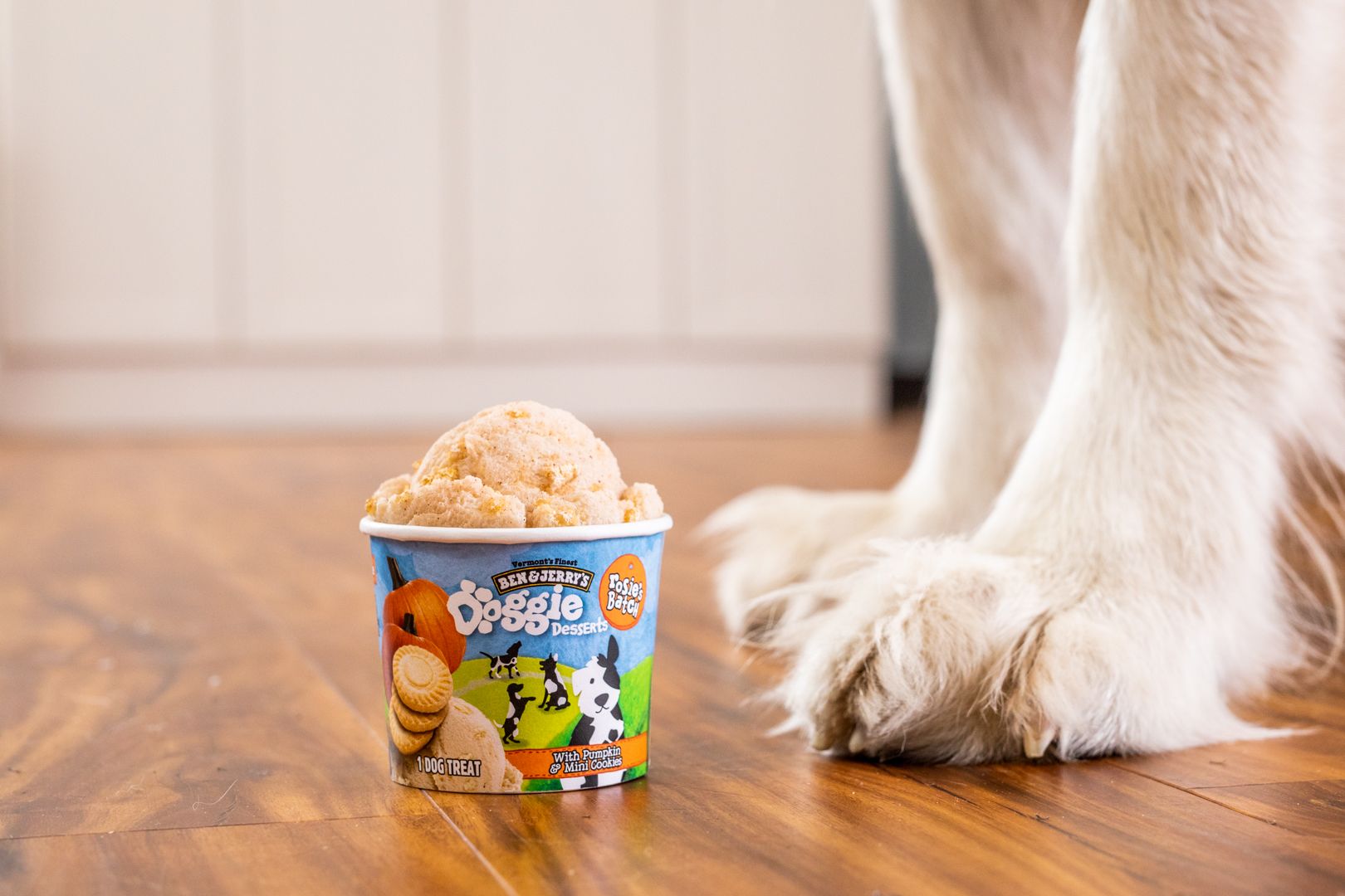 Ben & Jerry's lanza una línea de helados para perros