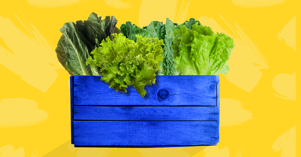 Cómo hacer un jardín de lechugas perfecto