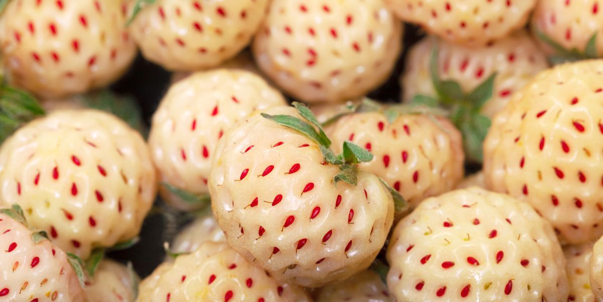 Todo sobre Hula Berries, las fresas con sabor a piña que debes probar este verano