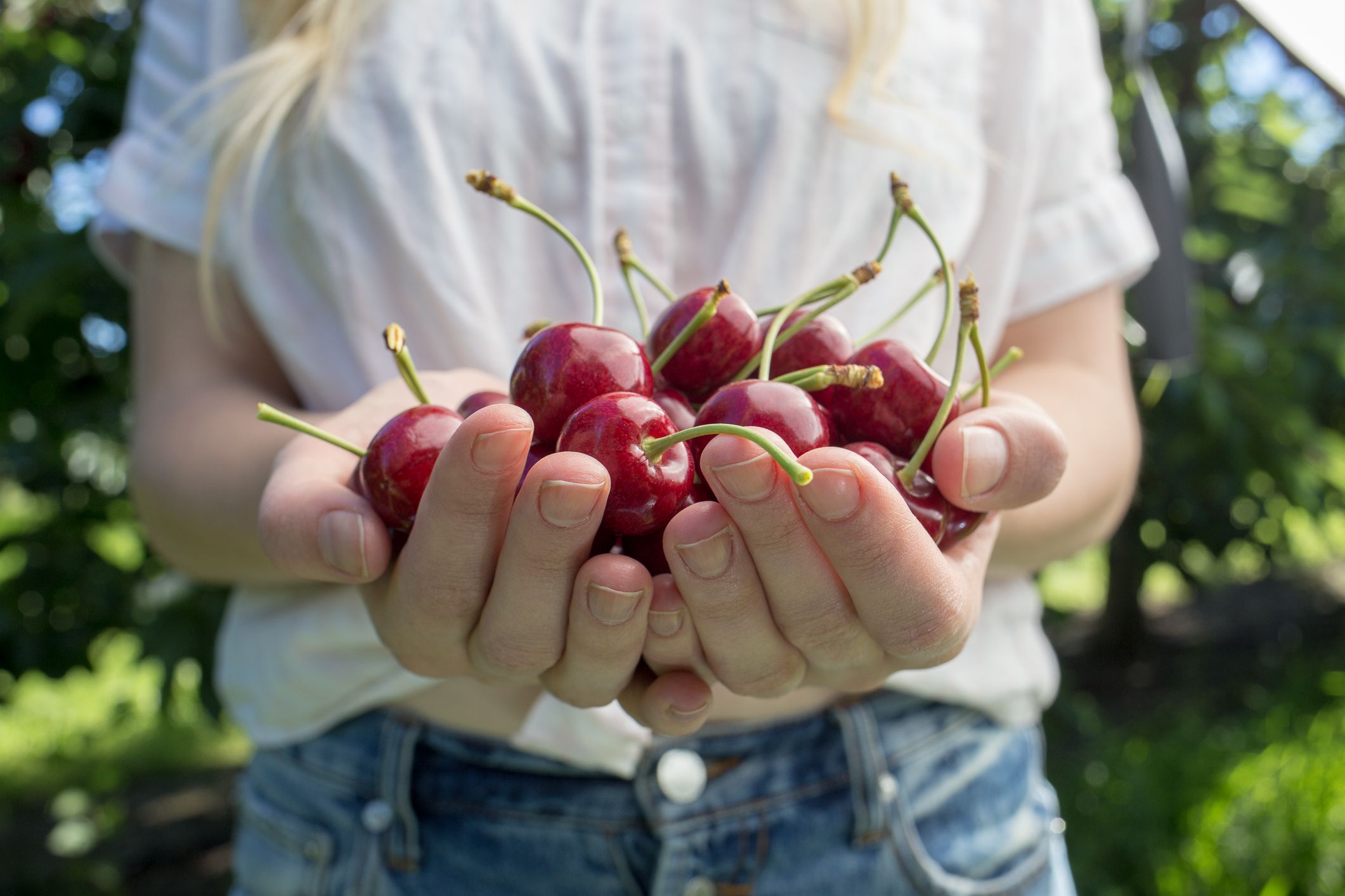 7 cosas que no sabías sobre las cerezas dulces