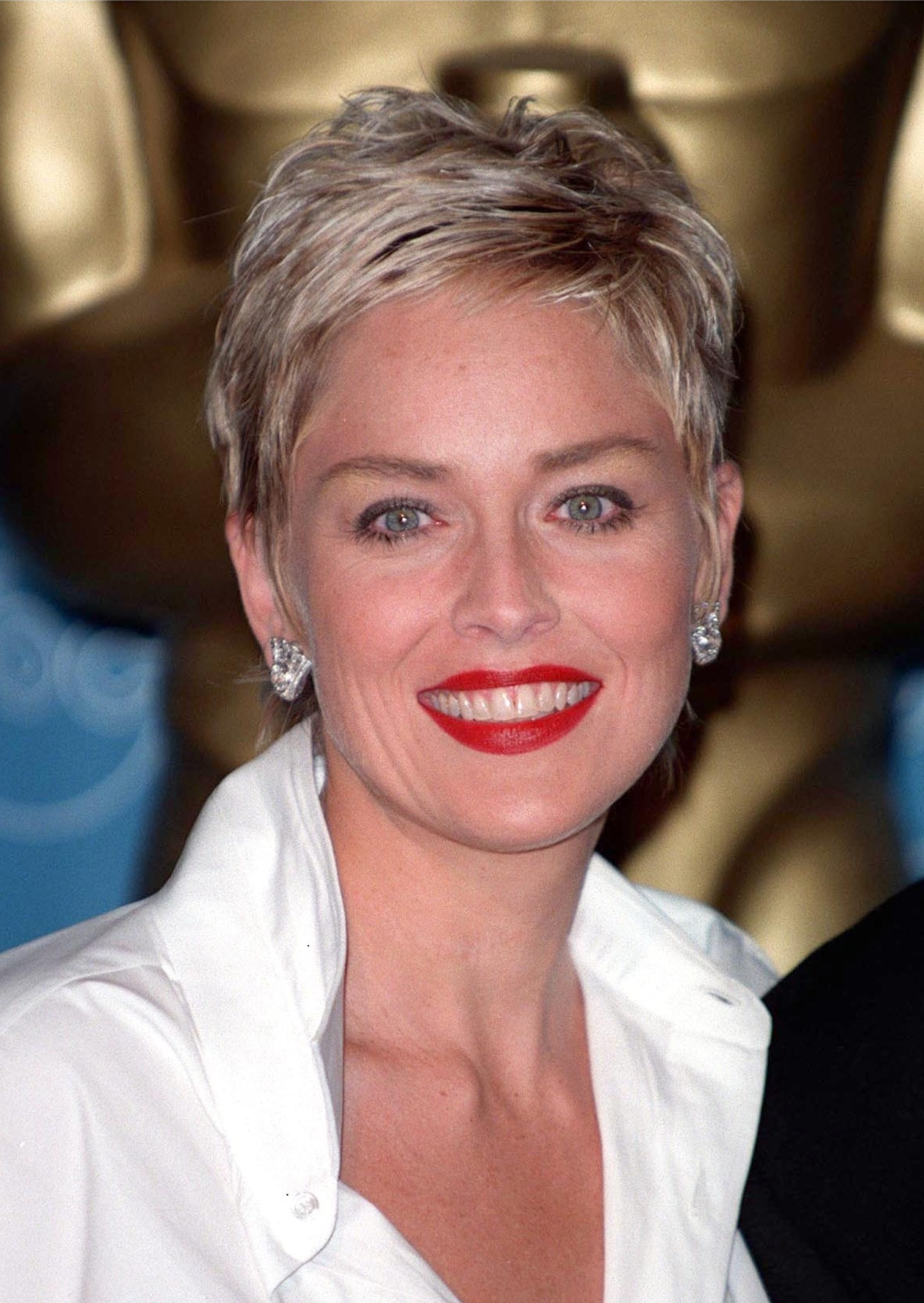 Sharon Stone’s Pixie