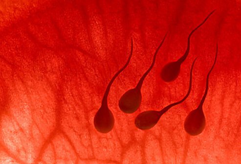 Los sorprendentes beneficios del sexo para la salud