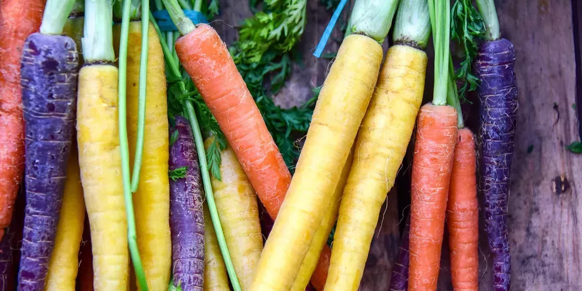 9 beneficios de las zanahorias: cómo pueden reforzar el sistema inmunitario, ayudar a perder peso y mucho más
