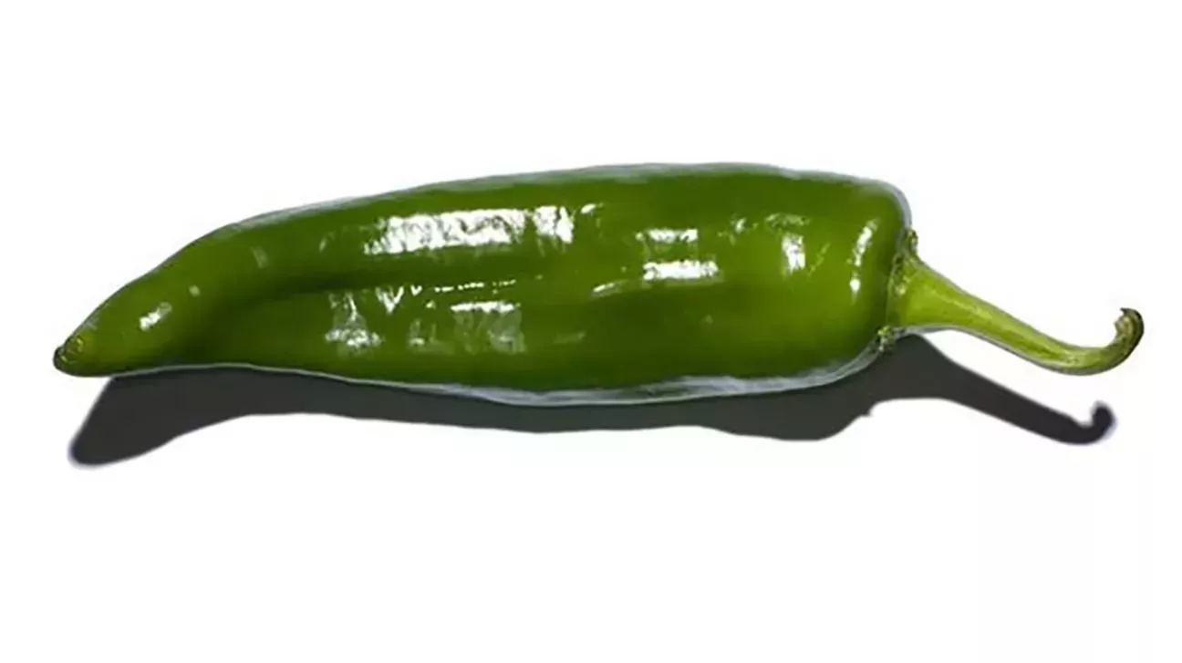 19 tipos de pimientos que debes conocer, desde el poblano hasta el piquillo