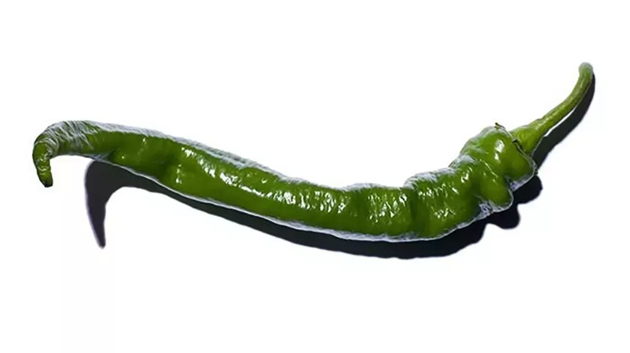 19 tipos de pimientos que debes conocer, desde el poblano hasta el piquillo