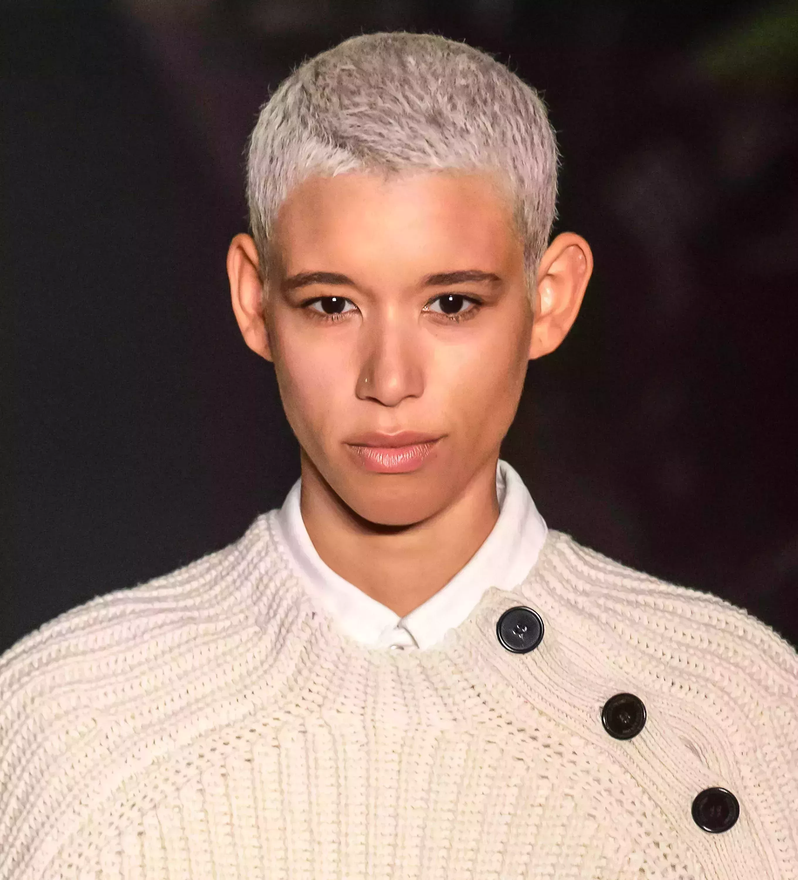 Dilone’s Silver and Gray Buzz Cut