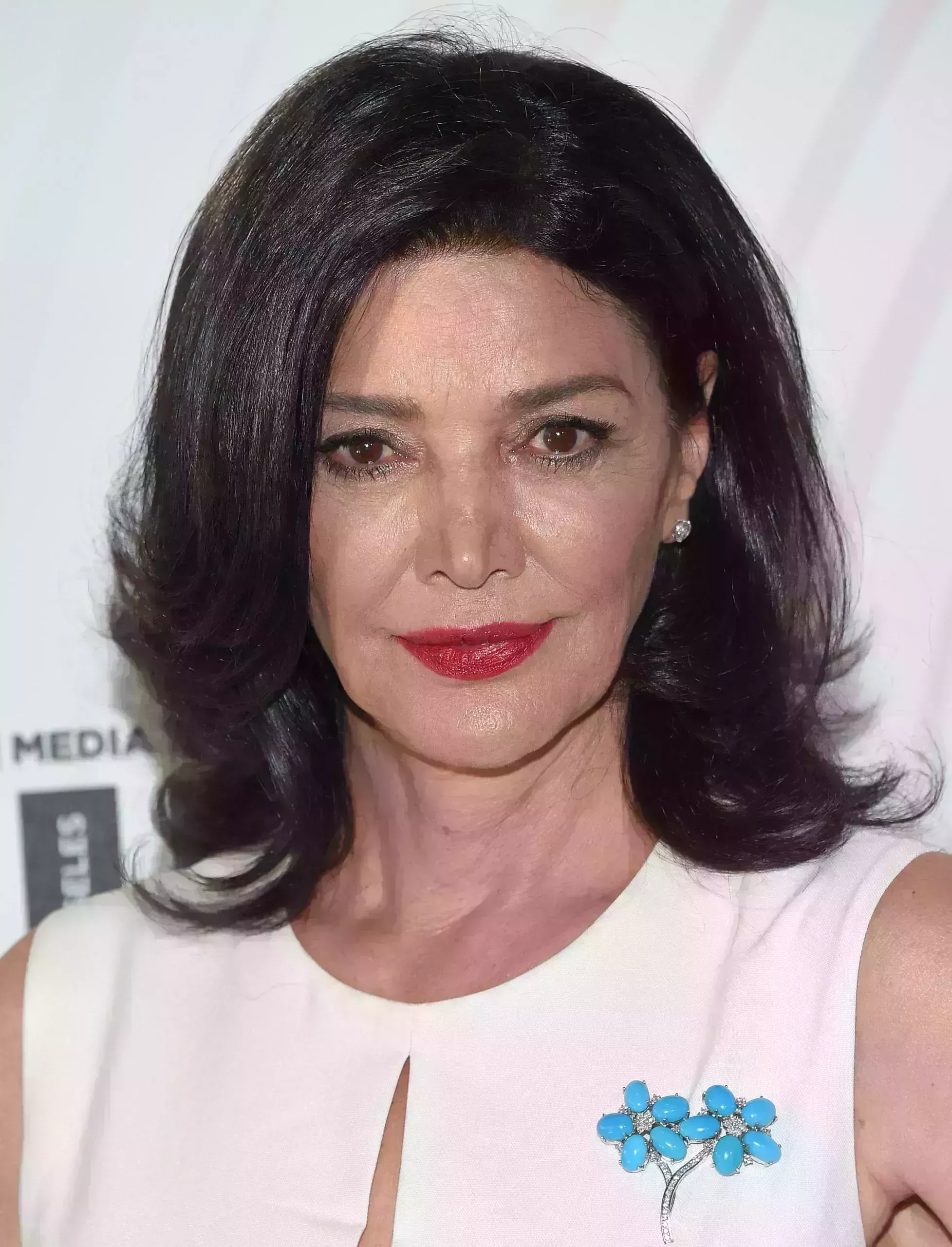 Shohreh Aghdashloo’s Deep Side Part and Layers