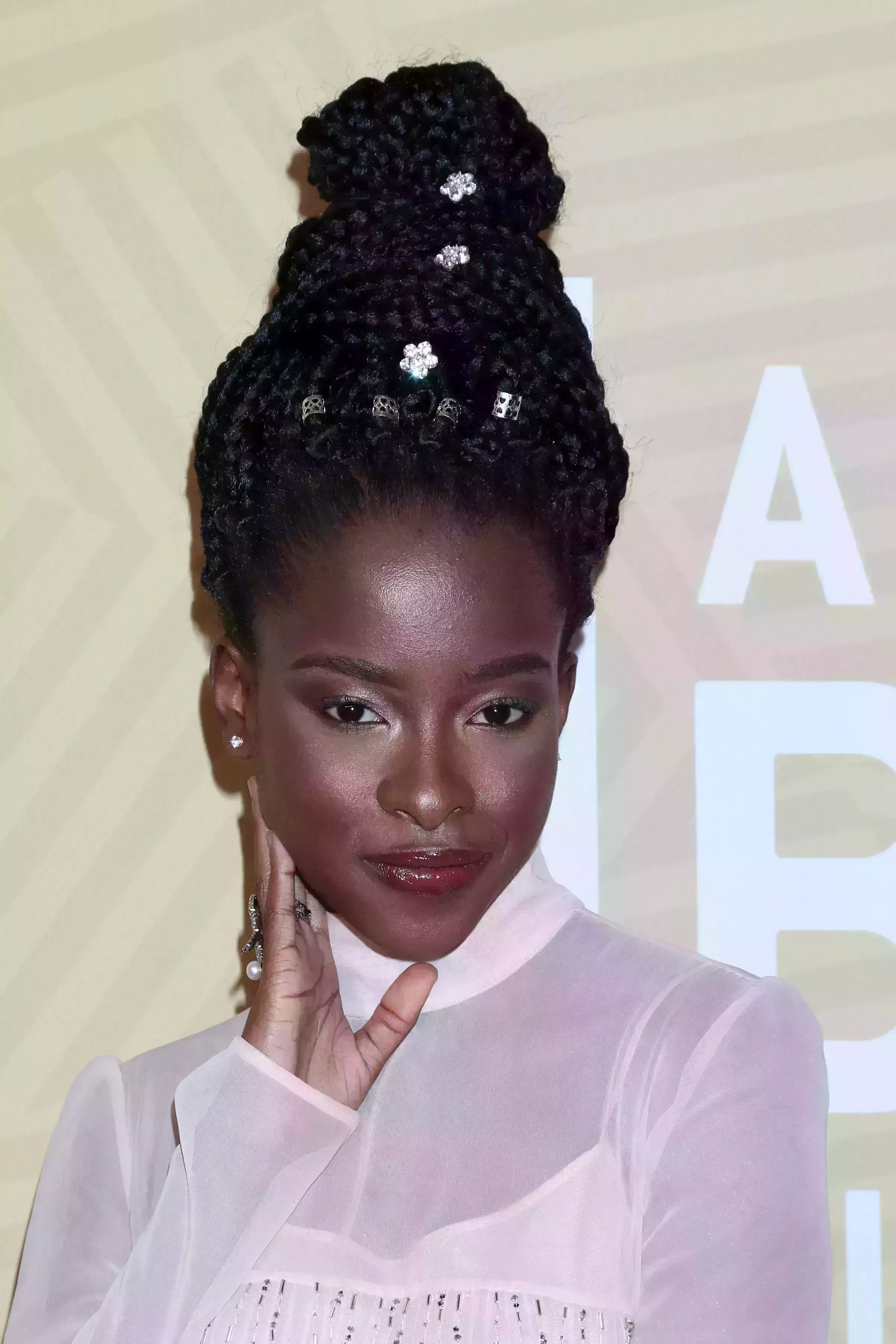 Afro Braided Long Bun By Amanda Gorman