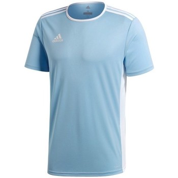 adidas Camiseta Entrada 18