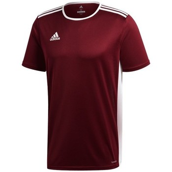 adidas Camiseta Entrada 18