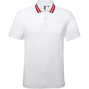 Asquith & Fox Polo Two Colour